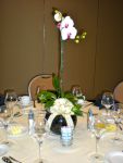 Orchid_Centerpiece