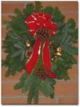 holiday_plant_7